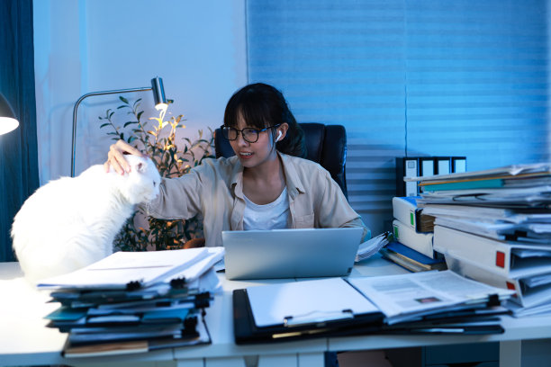 年轻的雌猫努力工作到深夜，抱着白猫，努力工作又来不及的观念图片下载