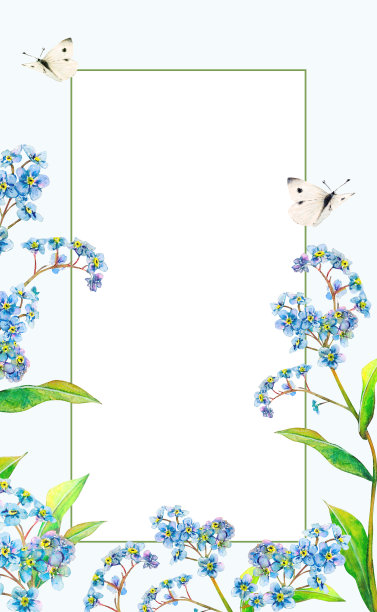 田野勿忘我水彩矩形框架从精致的花朵和蝴蝶手绘在浅蓝色的背景。草地野花供题词、祝贺、请柬、卡片。设计花卉插画图片下载
