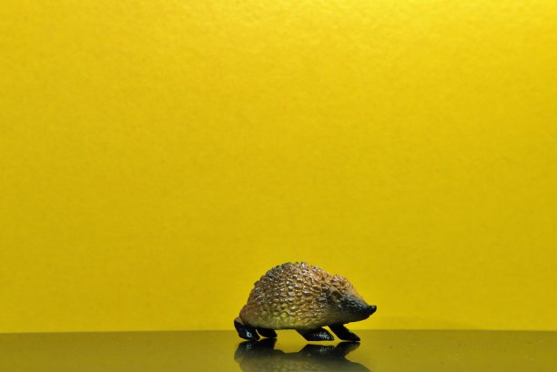 动作人物动物与背景图片下载