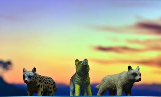 动作人物动物与背景图片下载