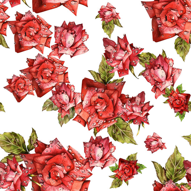 雨后鲜红的玫瑰。水彩插图集。适合明信片、请柬和设计图片下载