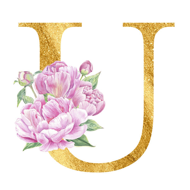 水彩金色英文字母。牡丹属植物蔷薇花枝花束组成。婚礼请柬，婴儿派对，生日贺卡，字母组合，标志。为设计而艺术。白色背景上的字母U图片下载