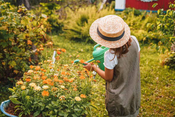 戴着夏天草帽的农家女孩。小园丁用黄橙色的花浇灌花坛，在旧的铁制花园手推车的土壤中生长。绿水可以。栽培植物，收获田园图片下载