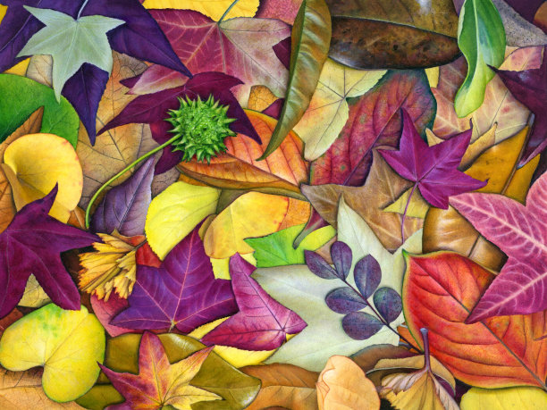 秋天的希望图片下载