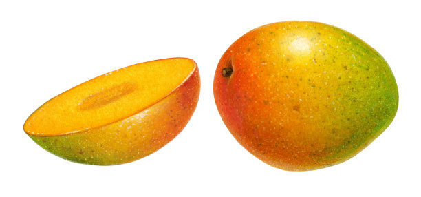 芒果和半分开图片下载