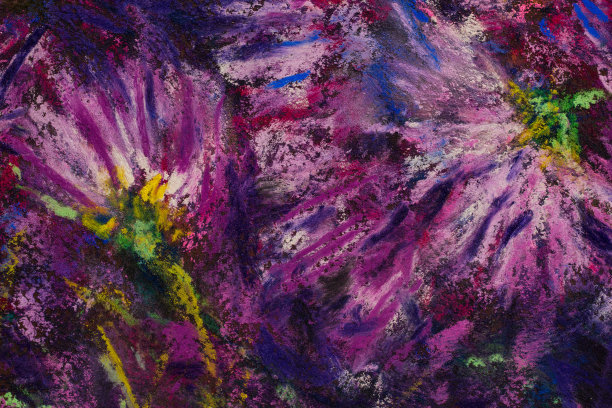 美丽的紫色菊花素描本上的黑色。在纸上画粉彩图片下载