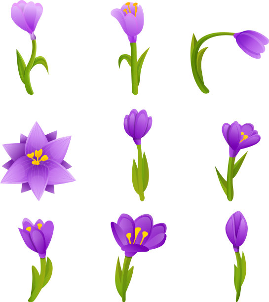 番红花图标设置卡通风格图片下载