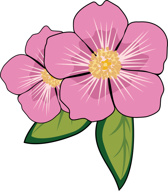 阿尔伯塔罗斯设计图片下载