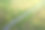 公路在夏天穿过长满青苔的偏僻荒野图片下载