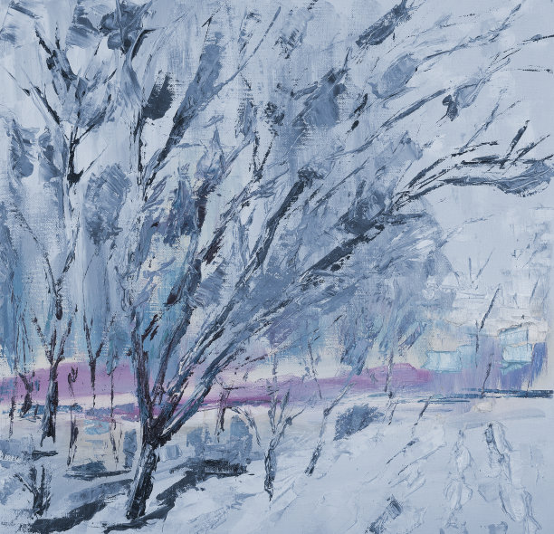 森林里冬季日落的景色图片下载