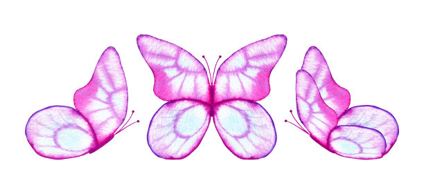 粉红色透明水彩蝴蝶集。手绘的设计剪贴画。图片下载