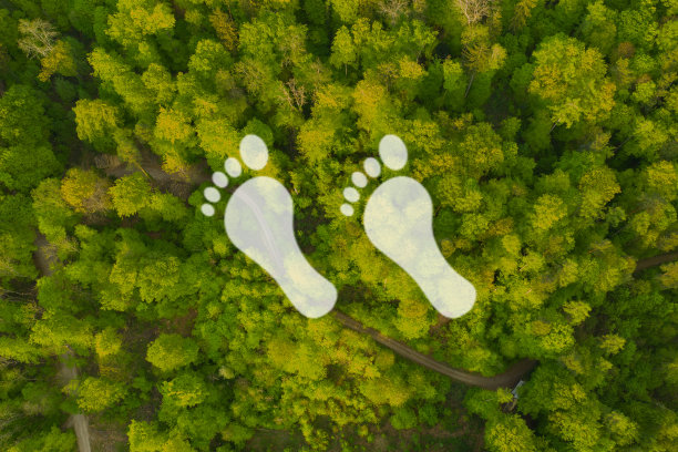 净零2050碳中和和净零概念自然环境一项气候中和的长期战略温室气体排放目标绿色净零数字中的一团迷雾。图片下载