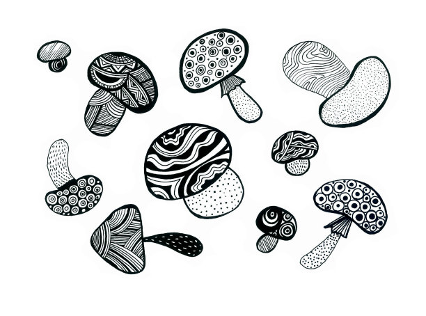 涂鸦一组不同的蘑菇。白色背景上的黑色轮廓。图片下载