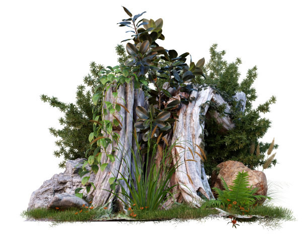 孤立的死树桩，周围生长着常春藤和小植物图片下载