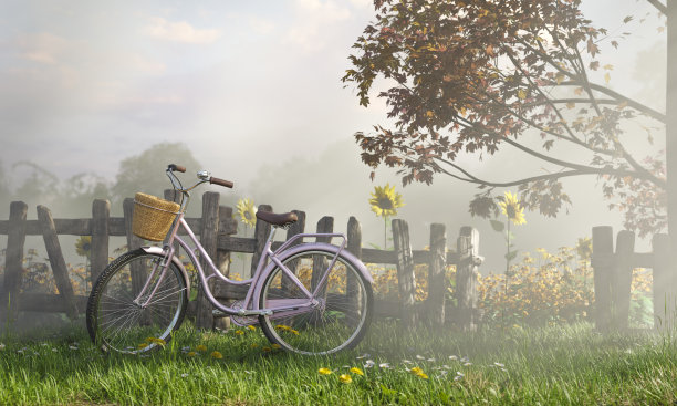 复古粉彩自行车与向日葵农场与雾云和秋天的树图片下载
