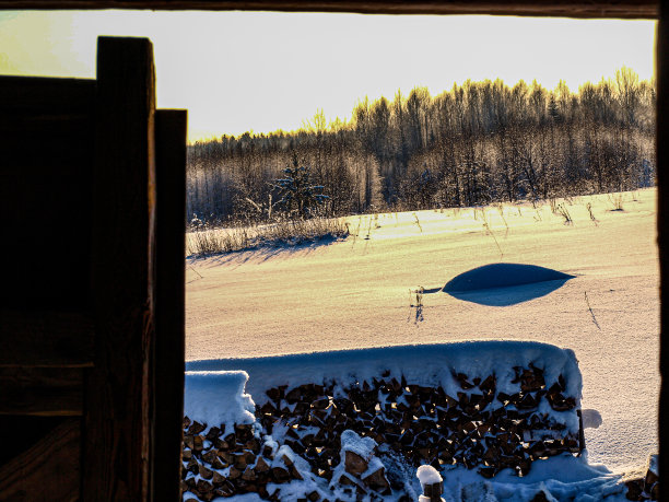 异化。这片田野是用森林的垃圾风格拍摄的。抽象照片构图。图片下载