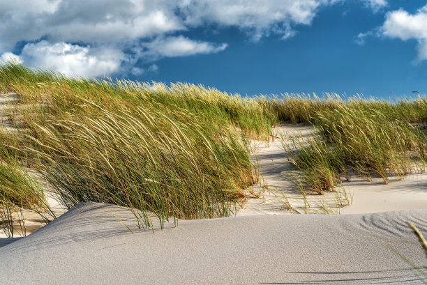 沙丘上有沙拉姆酱图片下载
