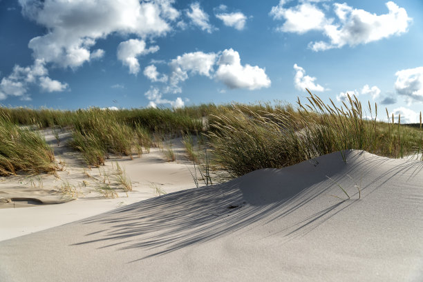 沙丘上有沙拉姆酱图片下载