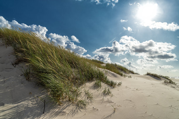 沙丘上有沙拉姆酱图片下载