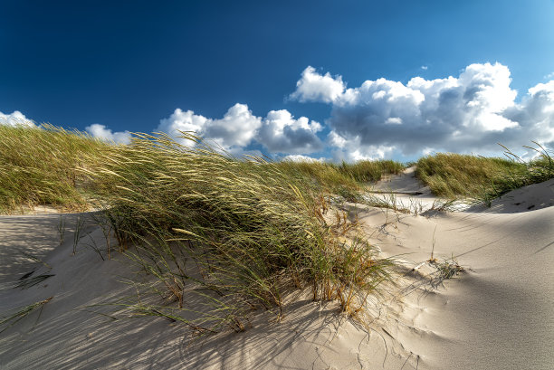 沙丘上有沙拉姆酱图片下载