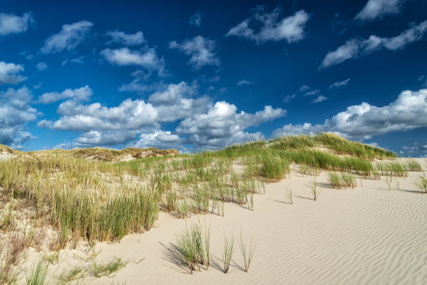 沙丘上有沙拉姆酱图片下载