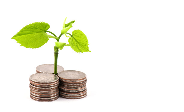嫩芽上有绿色的叶子和白色背景上的硬币柱图片下载