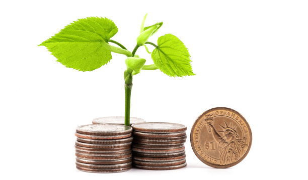 一个嫩芽和绿叶，一堆25美分和一美元硬币图片下载