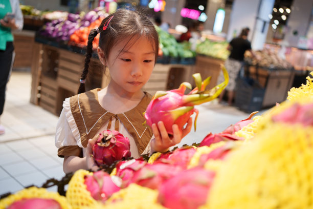 小女孩正在采摘火龙果图片下载