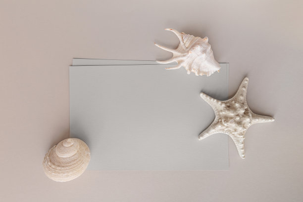 空白的贺卡，灰色的纸和三个贝壳图片下载