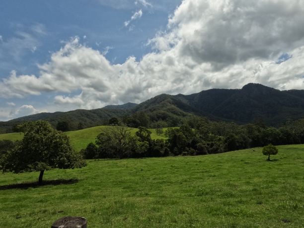 风景的照片图片下载