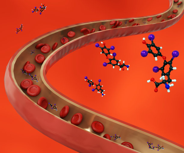 甲状腺素或t4是血液中甲状腺产生的一种激素图片下载