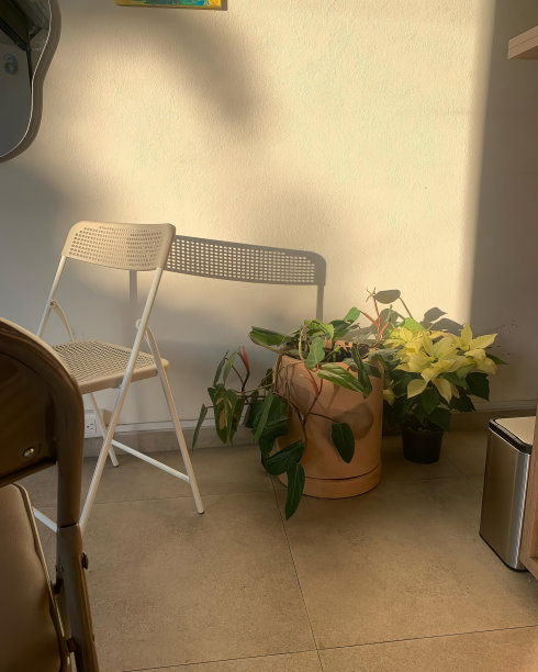 桌子和椅子的夕阳映照在墙上图片下载