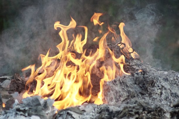 在院子里烧垃圾时要生火图片下载