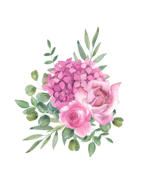 一个美丽的水彩花束与玫瑰，绣球花和桉树叶。植物插图，插花图片下载