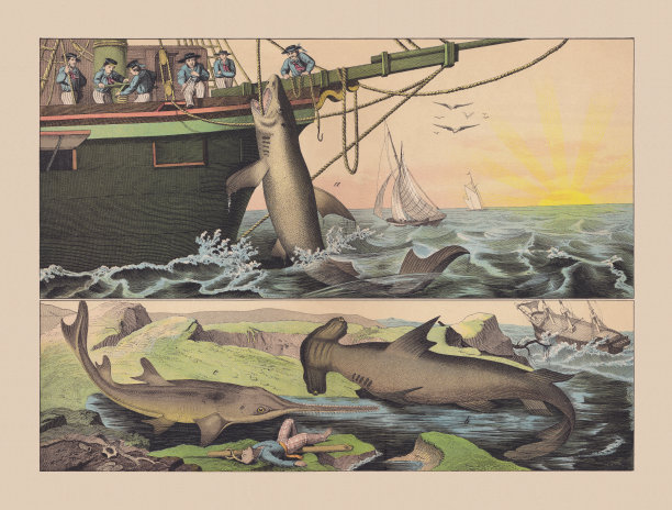 软骨鱼(软骨鱼)，彩色刻版，1882年出版图片下载