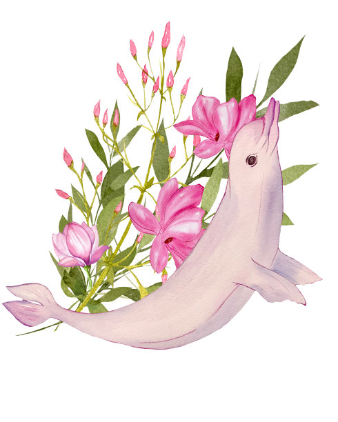 水彩插图与海豚和热带花卉。纸的纹理，手绘，孤立在一个白色的背景。图片下载