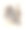 19世纪，印尼服饰，手工着色木刻，大约1880年出版图片下载