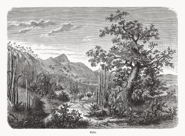 古巴南海岸的仙人掌，木刻，1893年出版图片下载