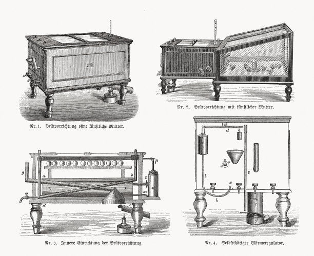 养鸡孵化器，木刻，1893年出版图片下载