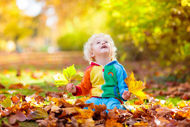 秋天公园里的孩子。孩子与秋叶。图片下载