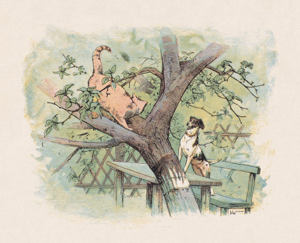 猫狗，彩色木刻，1897年出版图片下载