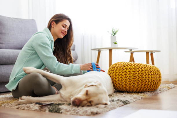 一名妇女给她的宠物狗梳理毛发图片下载