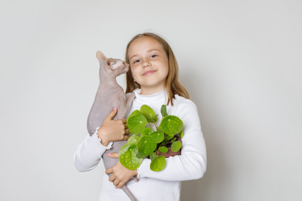 快乐可爱的孩子抱着猫宠物和绿色植物在白色的背景图片下载