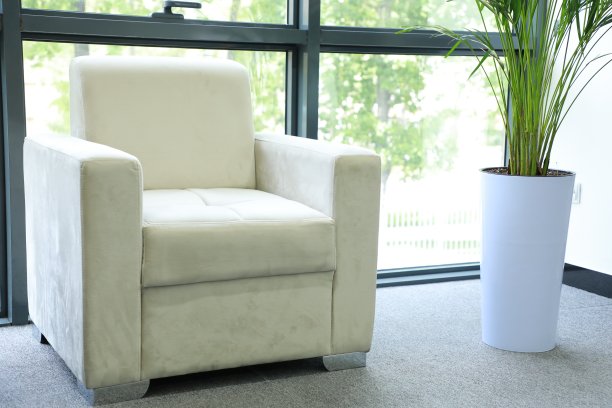 现代客厅室内的白色扶手椅，花盆里有绿色植物图片下载