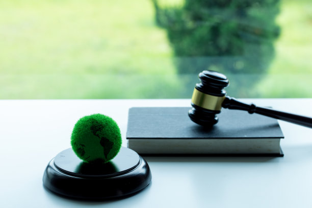环境法是一个总称，涵盖了保护环境的各个方面的法律。全球自然法和环境判断的概念。图片下载