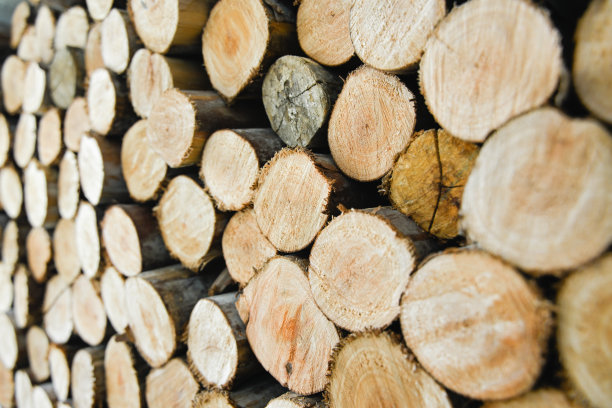 柴火整齐地摆放在披萨烤箱下面。这张照片质量很好。图片下载