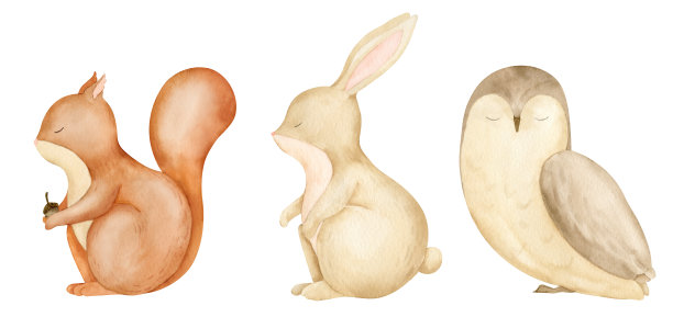 林地动物宝宝。手绘水彩松鼠，兔子和猫头鹰在孤立的背景插图。绘制森林字符幼稚的淋浴贺卡或生日邀请图片下载