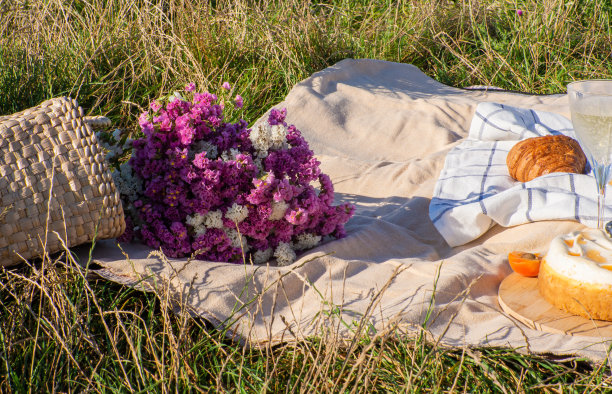 暑假或周末在城市公园野餐的概念。图片下载