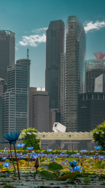 城市建筑图片下载