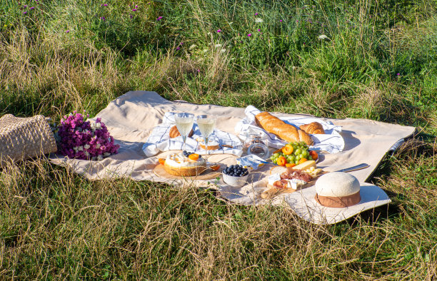暑假或周末在城市公园野餐的概念。图片下载